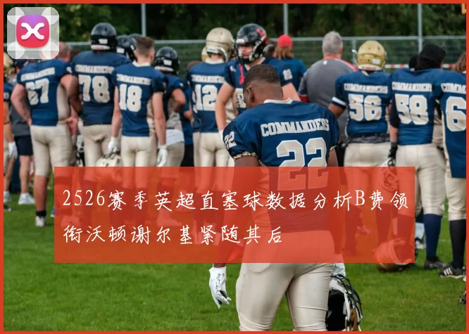 2526赛季英超直塞球数据分析B费领衔沃顿谢尔基紧随其后